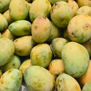 Mango (আম)